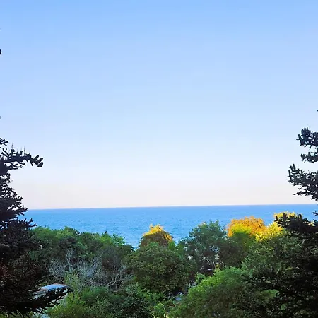 Exclusive Sea View Free Wifi & Pool Apartment *